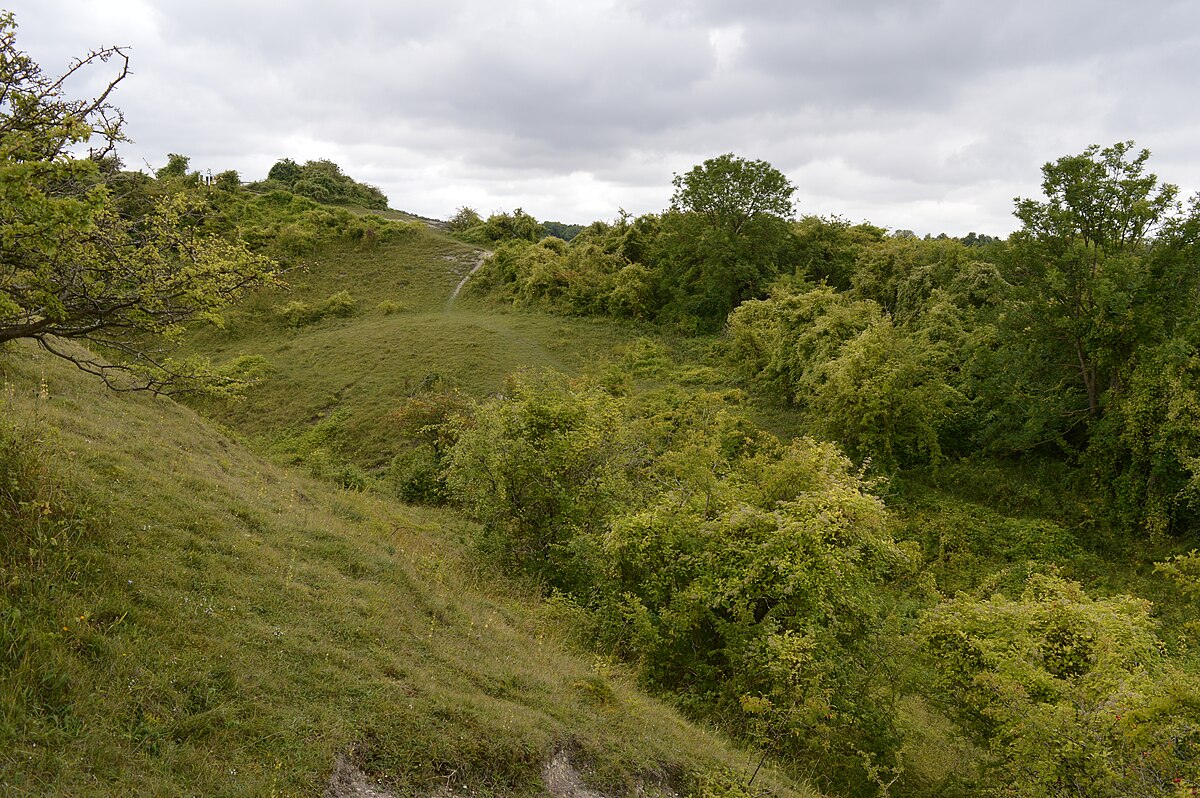 Totternhoe nature reserve