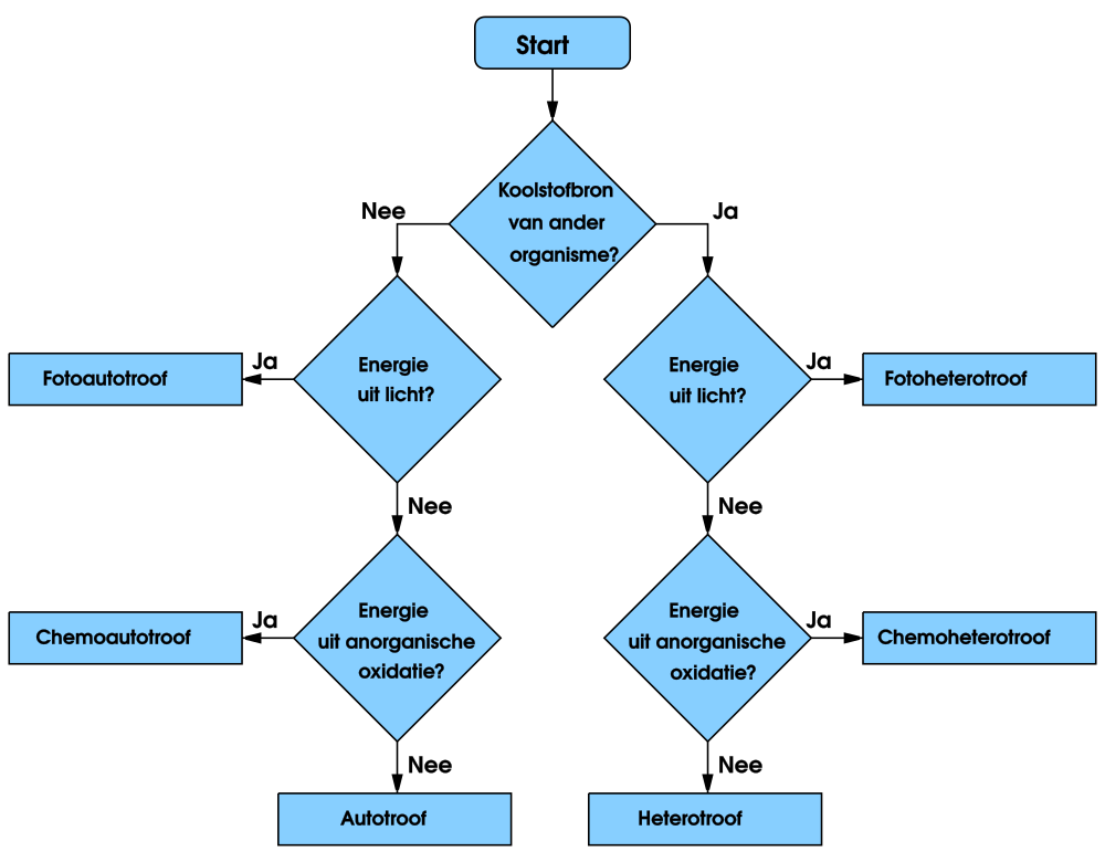 1000px-Troph_flowchart_dutch_txt.svg.png