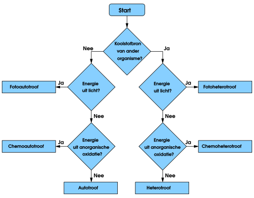 520px-Troph_flowchart_dutch_txt.svg.png