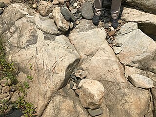 Tonalite–trondhjemite–granodiorite Intrusive rocks with typical granitic composition