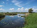 Vignette pour Parc national de la vallée de la Basse-Oder