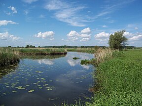 Flussauenlandschaft im Nationalpark