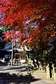 2014年11月26日 (水) 16:48時点における版のサムネイル