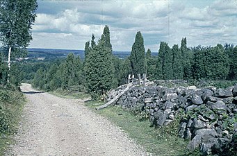 Vägen invid Anderstorps eneskog 1970