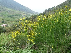 Valdichiesa : à droite le Monte Fossa delle Felci, à gauche le Monte dei Porri.