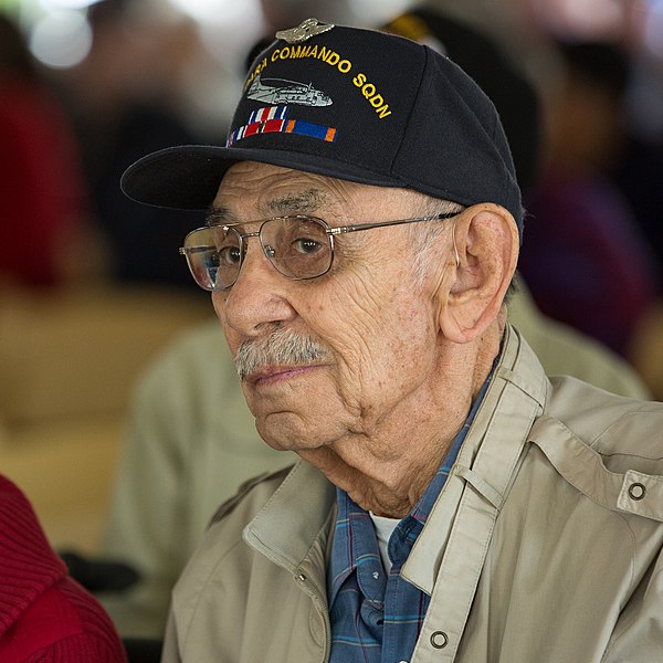 File:Veterans Day in North Charleston (30950188506).jpg