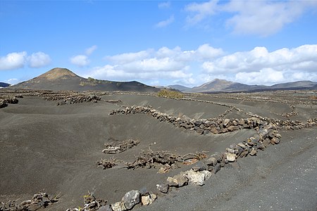 Viticulture, Tinajo Lanzarote