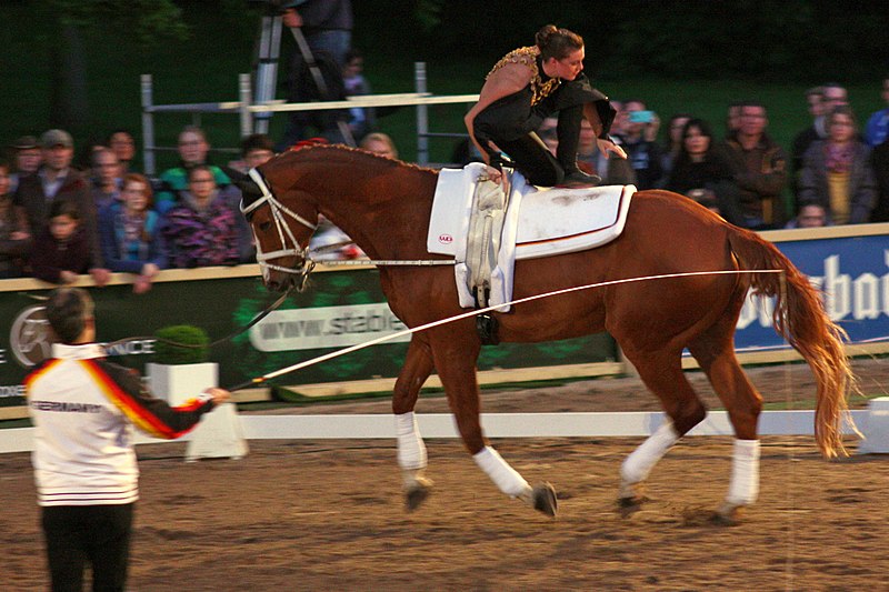 File:WPT2013-CVI-Regina Burgmayr-Cappucino-2.JPG