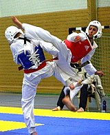 A WTF taekwondo sparring match WTF Taekwondo 1.jpg