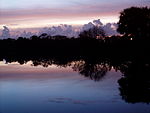 Wakodahatchee Wetlands