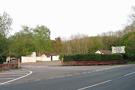 Welsh Hawking Centre