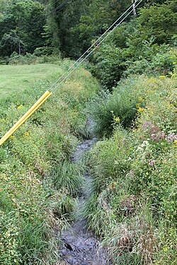 Batı Hemlock Creek.JPG