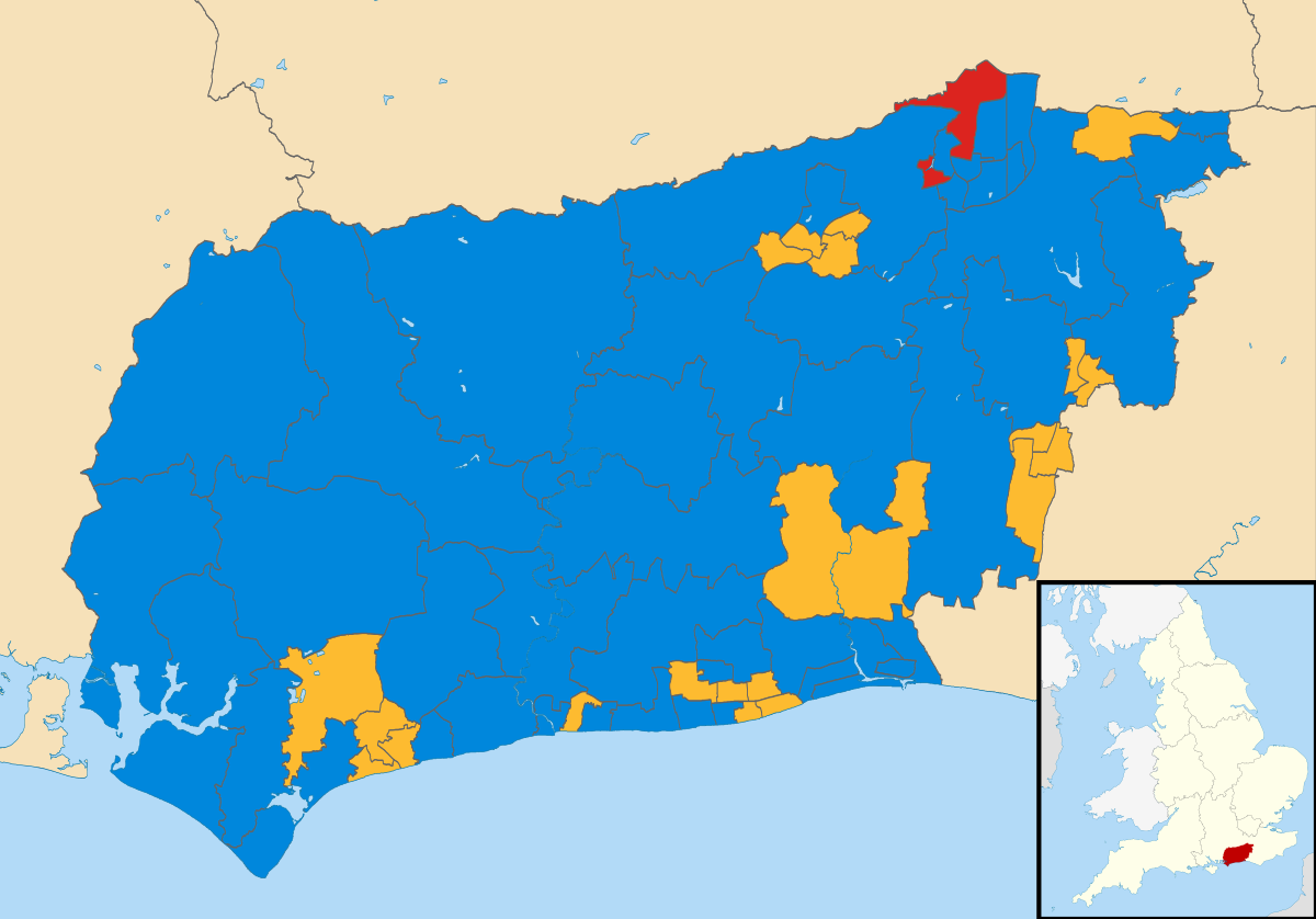 West Sussex County Council election, 2009