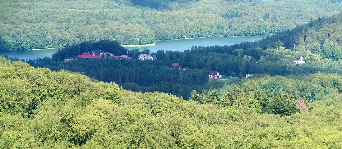 File:Widok z wieżycy na jezioro ostrzyckie.jpg