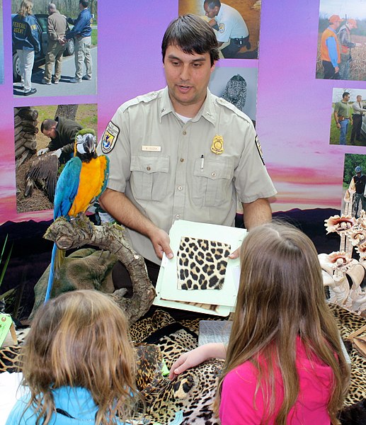 File:Wildlife Inspector explaining furs (5654676447).jpg