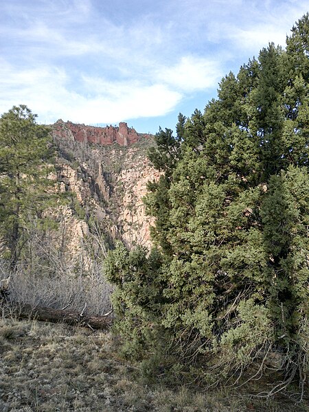 File:Wilson Mountain North Trail, Sedona, Arizona, Coconino County - panoramio (57).jpg