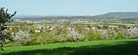 Witterswil