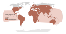 Mapa que muestra la distribución mundial aproximada de las serpientes.