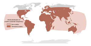 Approximate world distribution of snakes.