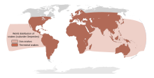World distribution of snakes.svg