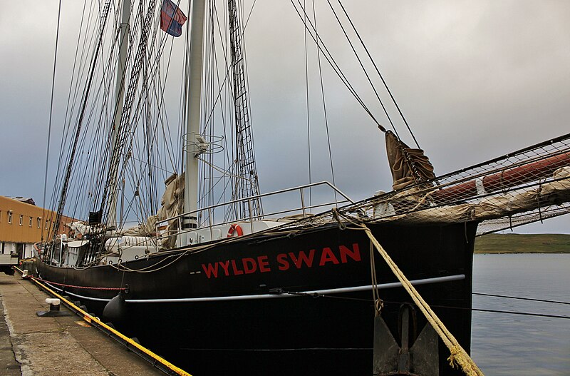 File:Wylde Swan MG 3926 (28356244663).jpg