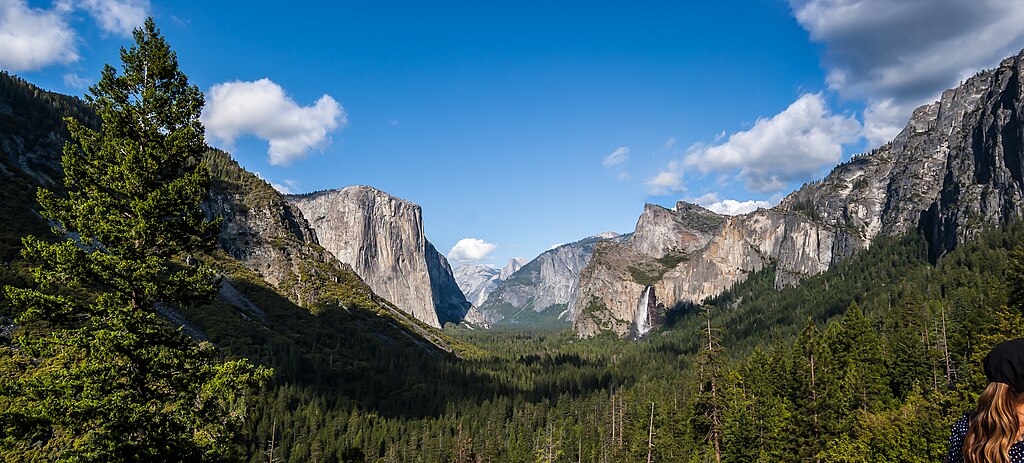 Yosemite - California : USA, Naturaleza-USA (6)