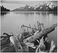 Ansel Adams. „Džeksono ežeras“. XX a. fotografija