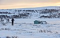 * Nomination Cross-country skier at lake Öjön, Ljungdalen. --ArildV 15:17, 24 December 2014 (UTC) * Promotion Good quality, good image IMO --DKrieger 17:44, 24 December 2014 (UTC)