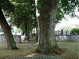 Čeština: Vstup na židovský hřbitov ve městě Světlá nad Sázavou v okrese Havlíčkův Brod. English: Entrance to the Jewish cemetery in the town of Světlá nad Sázavou, Havlíčkův Brod District, Vysočina Region, Czech Republic.