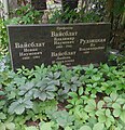 Мініатюра для версії від 18:08, 17 липня 2023