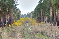 Непран Вячеслав, Сіверсько-Донецький національний природний парк, 44-216-5001, 48°59'11.2N 38°12'16.4E.jpg