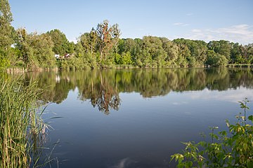 Ставков на. Шукайвода Черкасская область. Шукайвода.