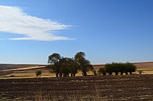 روستای یاغلی بلاغ - panoramio (3).jpg