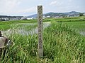 2022年6月23日 (木) 14:28時点における版のサムネイル