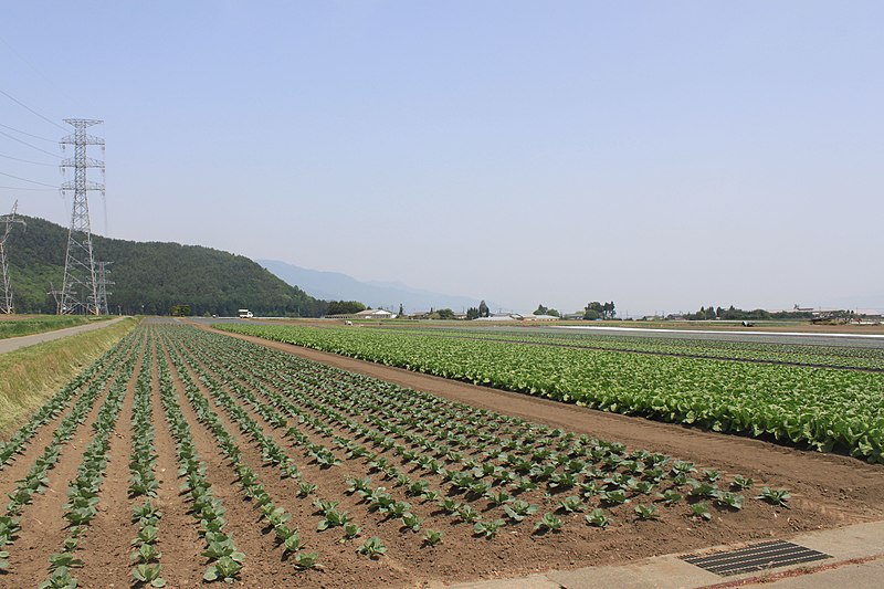 File:新信濃変電所付近の風景 - panoramio.jpg