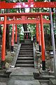 新屋坐天照御魂神社 （福井）丸山稲荷神社