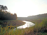 English: Świślina River in Wióry Polski: Rzeka Świślina w Wiórach