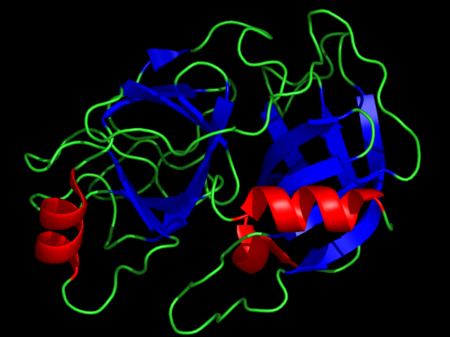 Trypsin