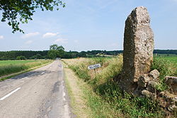 Menhir Danthine