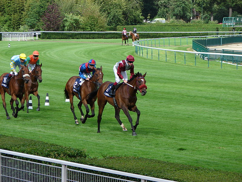 File:2012 Hippodrome de Longchamp Juddmonte After race4.JPG