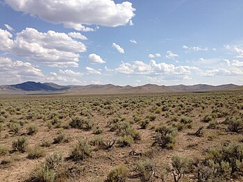 Sagebrush is indicative of the Great Basin Floristic Province 2013-07-04 15 37 14 Sagebrush-steppe along U.S. Route 93 in central Elko County in Nevada.jpg