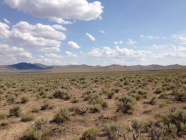 Sagebrush steppe in Elko County, Nevada along US 93. This view is characteristic of most of the county.