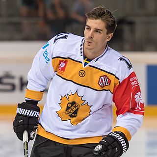 <span class="mw-page-title-main">Henrik Hetta</span> Swedish ice hockey player