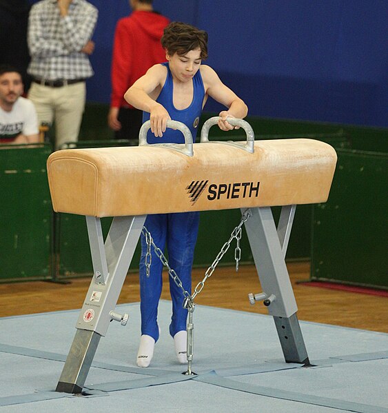 File:2019-05-25 Budapest Cup age group III all-around competition pommel horse (Martin Rulsch) 198.jpg