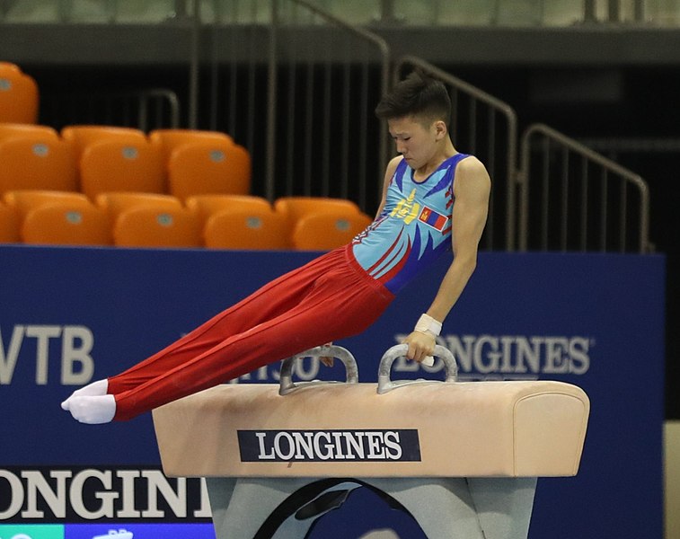 File:2019-06-27 1st FIG Artistic Gymnastics JWCH Men's All-around competition Subdivision 3 Pommel horse (Martin Rulsch) 116.jpg