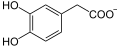 de: Struktur von 3,4-Dihydroxyphenylacetat; en: Structure of 3,4-dihydroxyphenylacetate