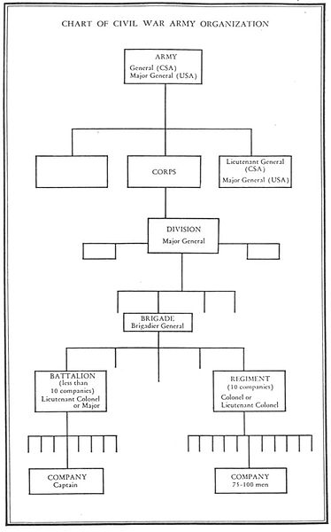 Civil War Army Organization Chart