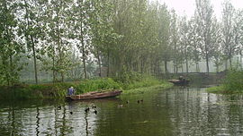 A Cornor of Weishan Lake.JPG
