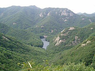 <span class="mw-page-title-main">Environment of South Korea</span> Overview of the environment of South Korea