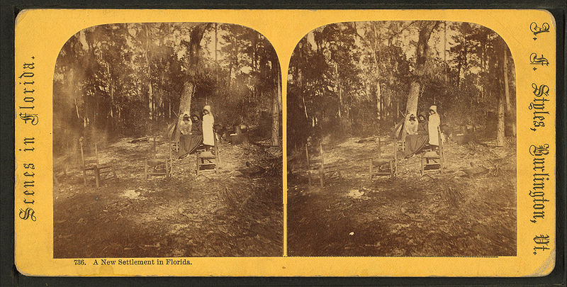 File:A New settlement in Florida, by Styles, A. F., 1832-1910.jpg